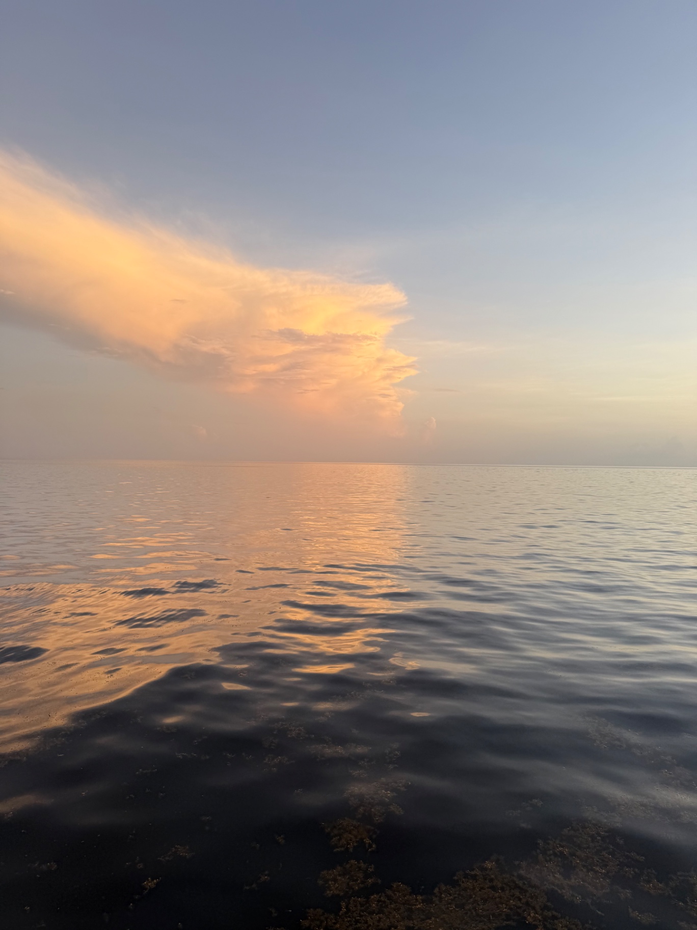 A soft pink cloud lit by the sunset over a mirror-calm sea