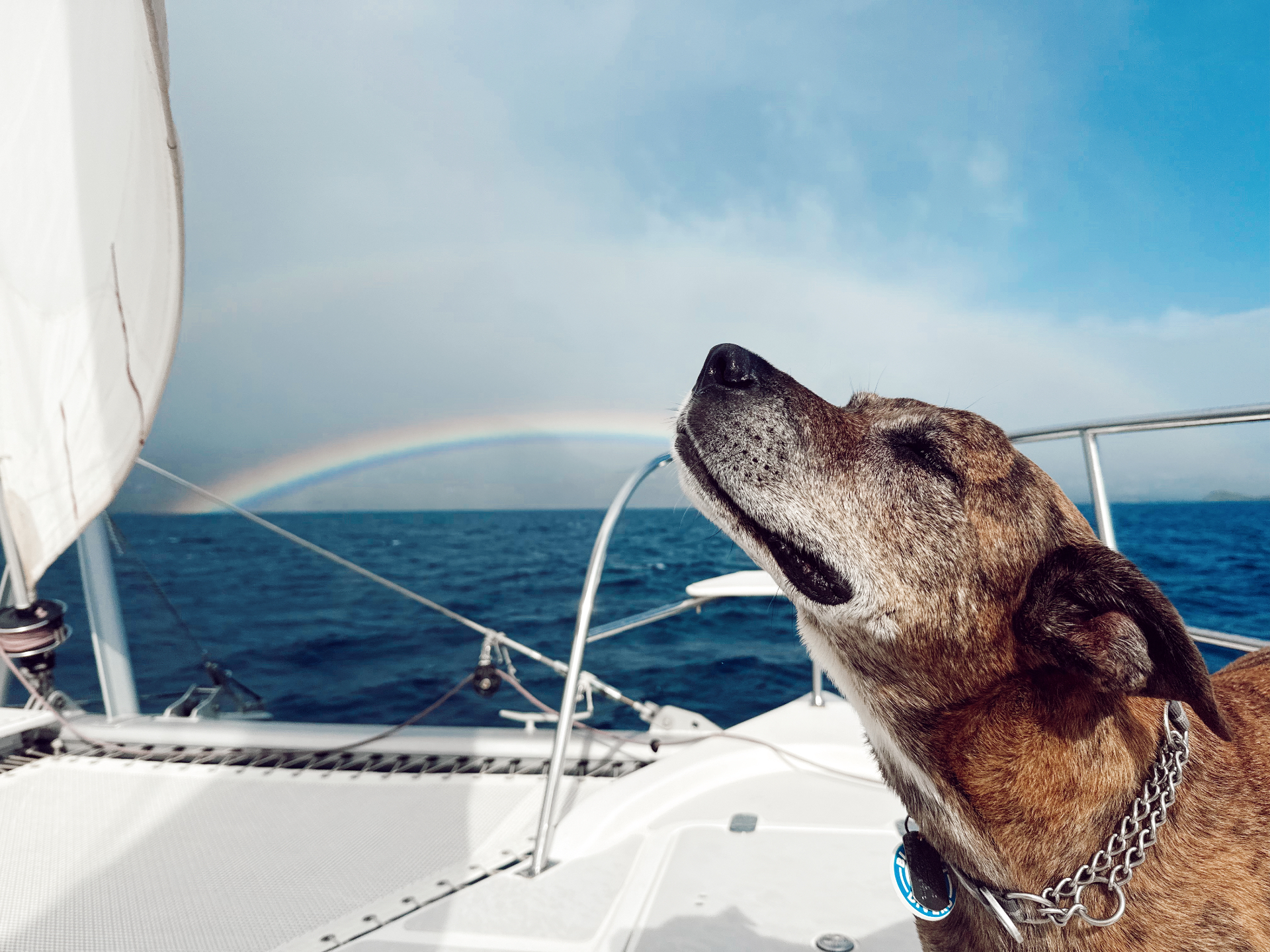 Hyde tilting his face up to the sun on deck, a faint rainbow over the ocean behind him